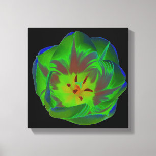 Mystic Green Tulip Canvas Print