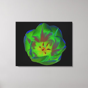 Mystic Green Tulip Canvas Print