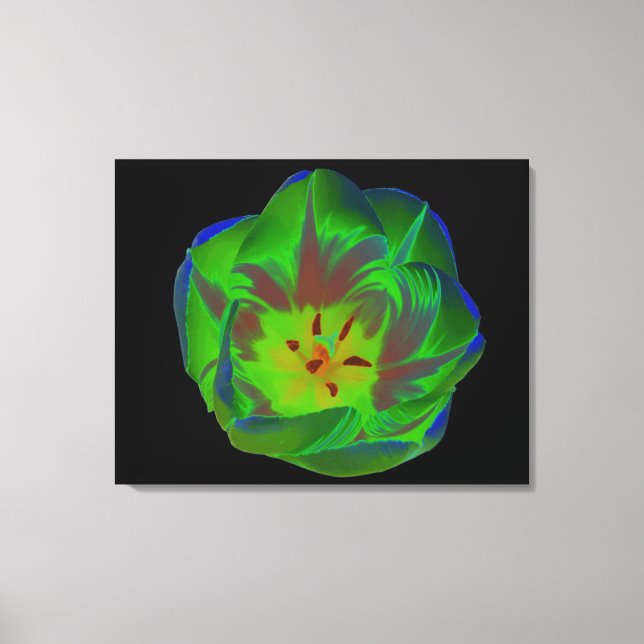 Mystic Green Tulip Canvas Print (Front)