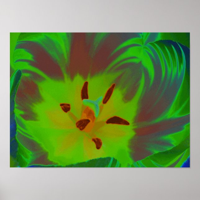 Mystic Green Tulip Poster (Front)