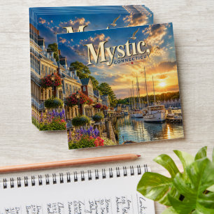 Mystic Harbour Reflections Envelope