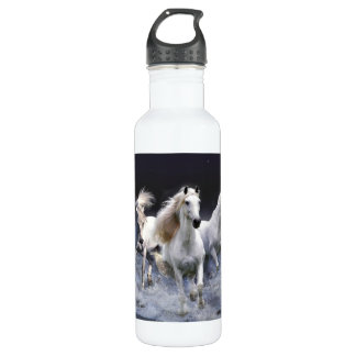 Mystic Horses Liberty Bottleworks 710 Ml Water Bottle