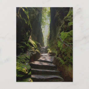 Mystic Stairway Postcard