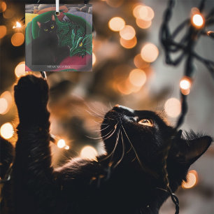 Mystical Black Cat Emerald Green Dragon Fantasy  Glass Tree Decoration