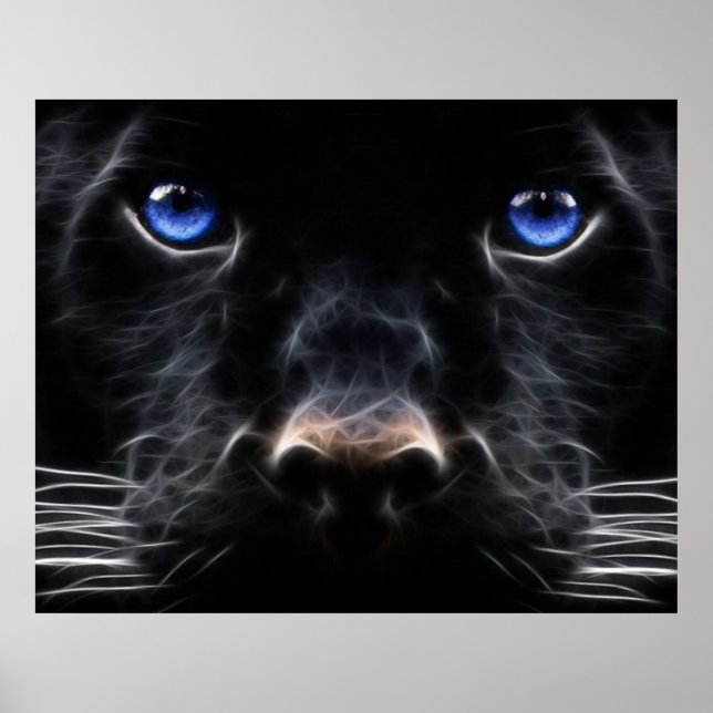 Mystical Blue Eyed Cat Poster (Front)
