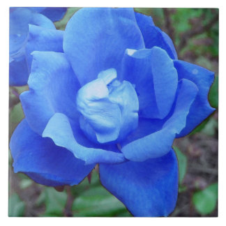 Mystical Blue Rose Photo Ceramic Tiles
