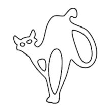 Mystical Cat A Bold Expression of Elegance