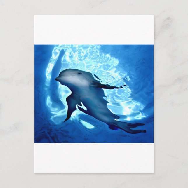 Mystical Dolphin.jpg Postcard (Front)