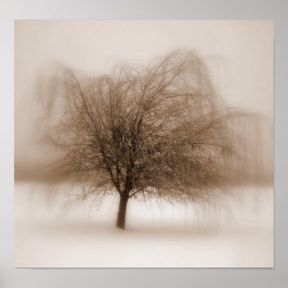 Mystical Dreams Poster