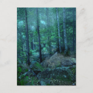 Mystical forest postcard