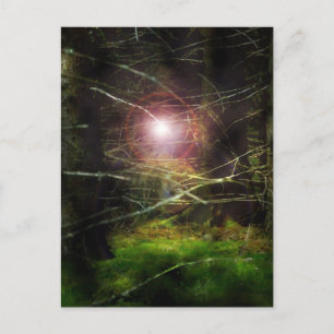 Mystical Forest Postcard