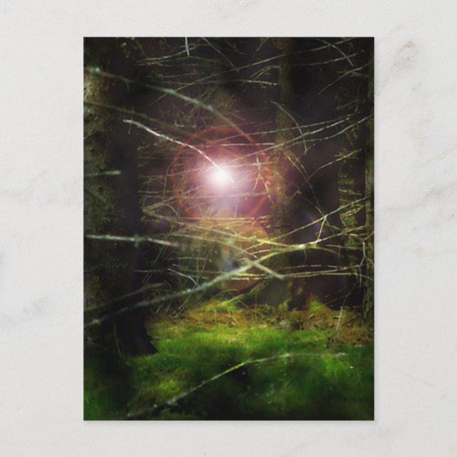 Mystical Forest Postcard (Front)