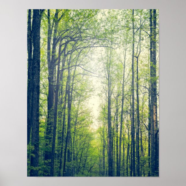 Mystical forest poster (Front)