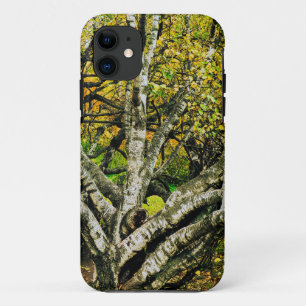 Mystical Gnarled Karelian Birch Tree iPhone 11 Case
