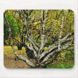 Mystical Gnarled Karelian Birch Tree Mouse Mat