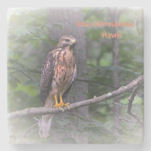 Mystical Hawk Stone Coaster