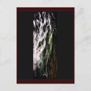 Mystical Horse Postcard