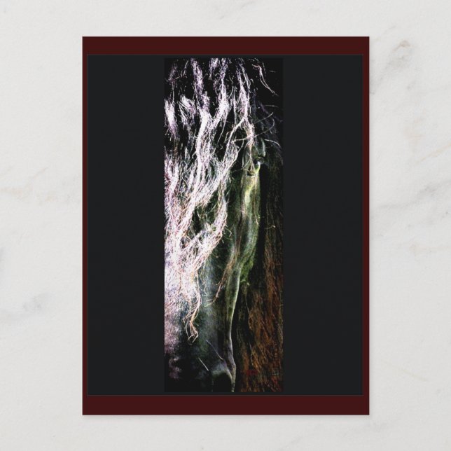 Mystical Horse Postcard (Front)