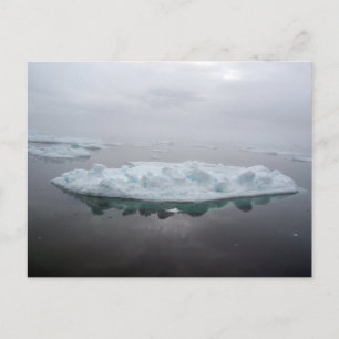 Mystical Icebergs Postcard
