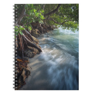 Mystical Mangrove Shoreline Ocean Scene Notebook