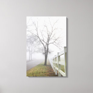 Mystical Misty Morning Canvas Print