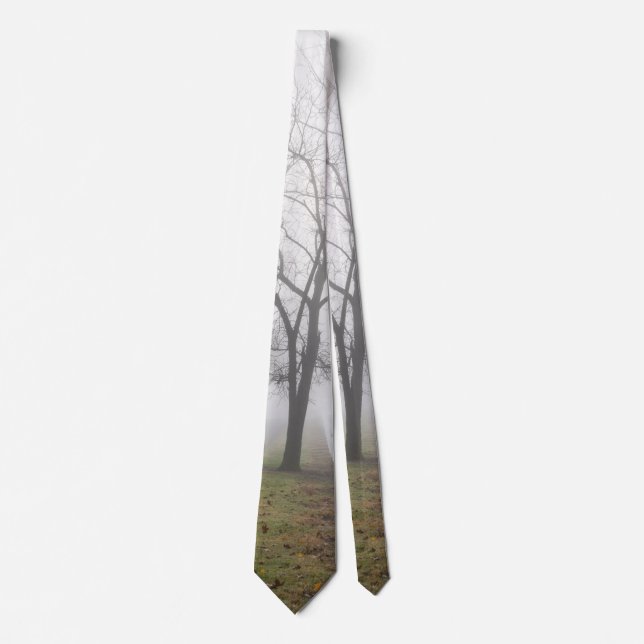 Mystical Misty Morning Neck Tie (Front)
