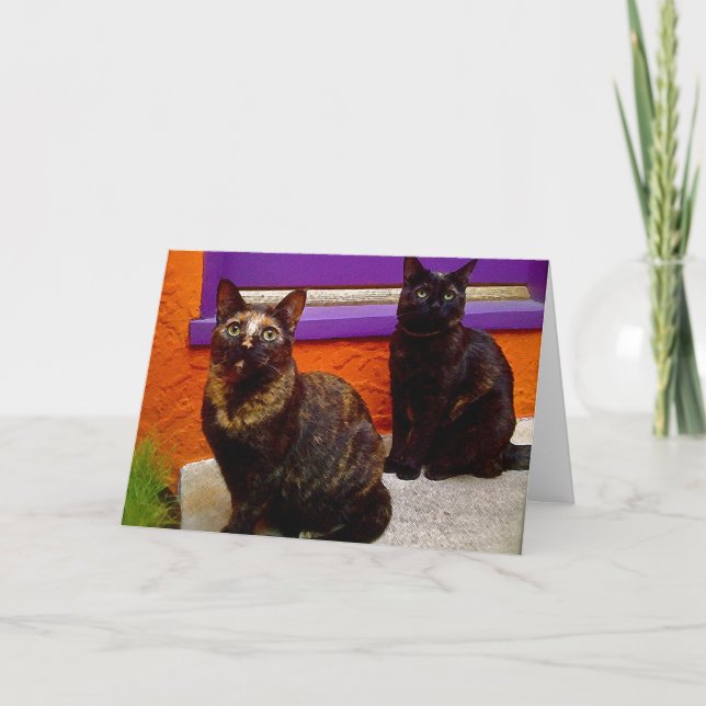 Mystical Monkey Cats Greeting Card (Front)