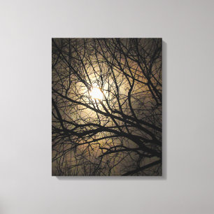 Mystical Moon Canvas Print