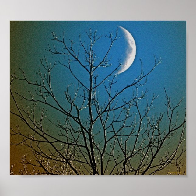 Mystical Moon ll Poster (Front)