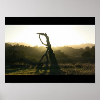 Mystical Revelation - Poster