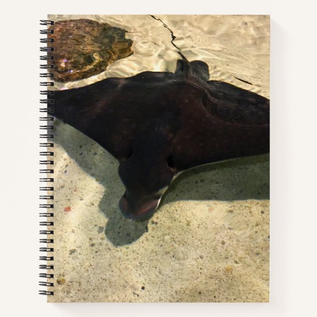Mystical Stingray Notebook (Front)