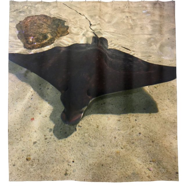 Mystical Stingray Shower Curtain (Front)