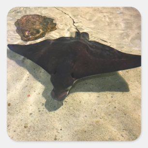 Mystical Stingray Square Sticker