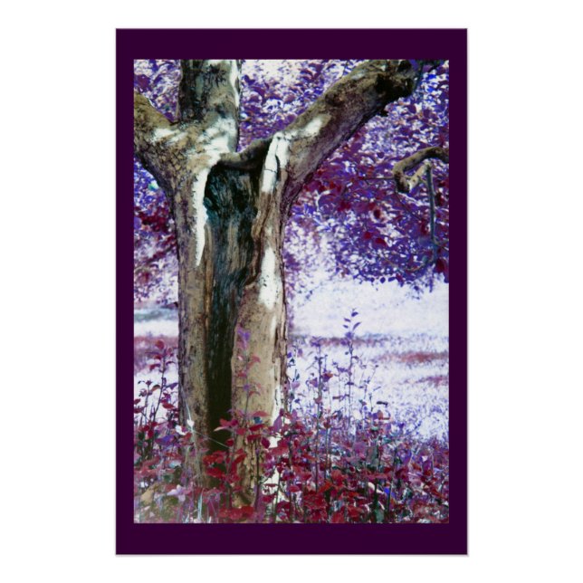 Mystical Tree Poster (Front)