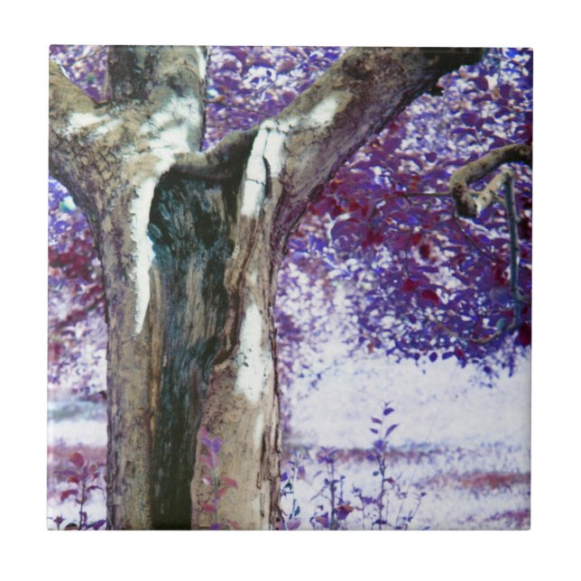 Mystical Tree Tile (Front)