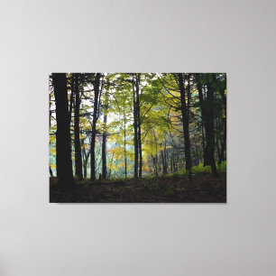 Mystical Woods at Quechee Gorge Canvas Print