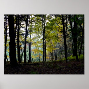Mystical Woods at Quechee Gorge Poster