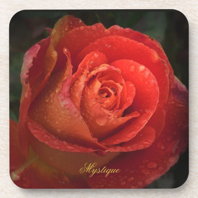 Mystique Dark Botanical Red Orange Rose Coaster (Front)