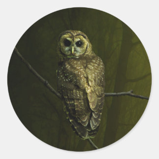 Mystique Owl Classic Round Sticker