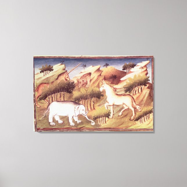 Mythical animals in the wilderness canvas print (Front)