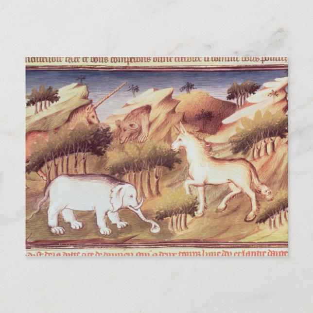Mythical animals in the wilderness postcard (Front)