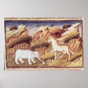 Mythical animals in the wilderness poster