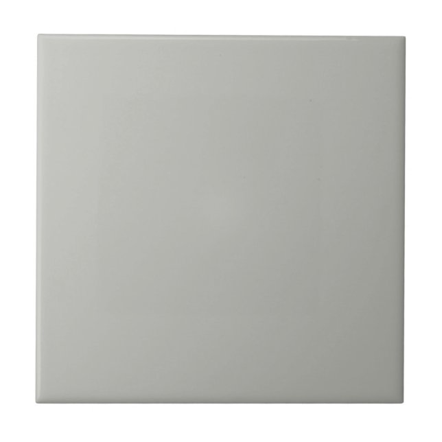 Mythical Argos Grey Square Kitchen and Bathroom Tile (Front)