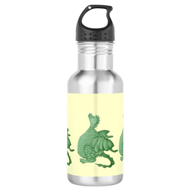mythical fantasy creature cute green dragon 532 ml water bottle (Front)