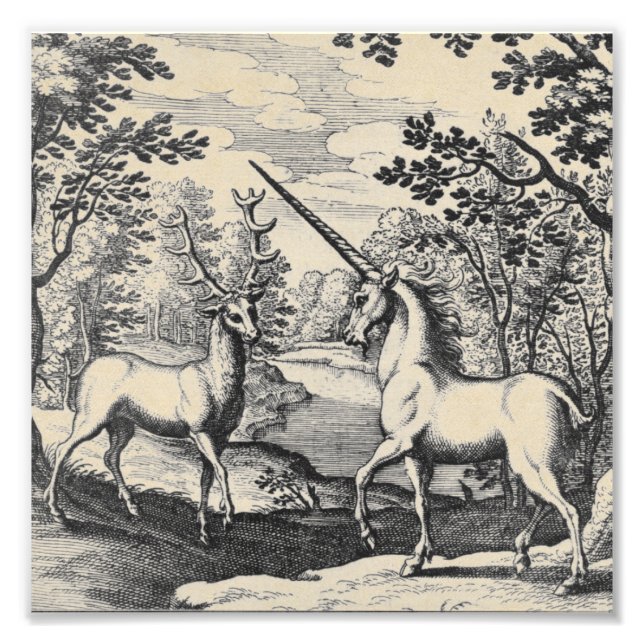 Mythical Unicorn in the Forest Photo Print (Front)