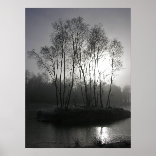 Mytic dusk in a frozen world poster (Front)