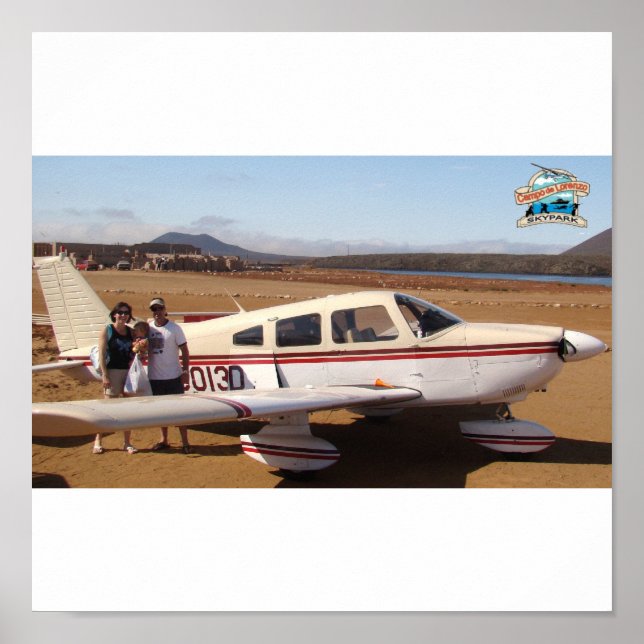 N3013D Poster (Front)