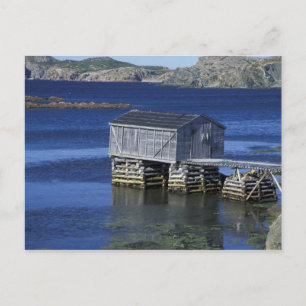 N.A., Canada, Newfoundland, Durrell. Fishing Postcard