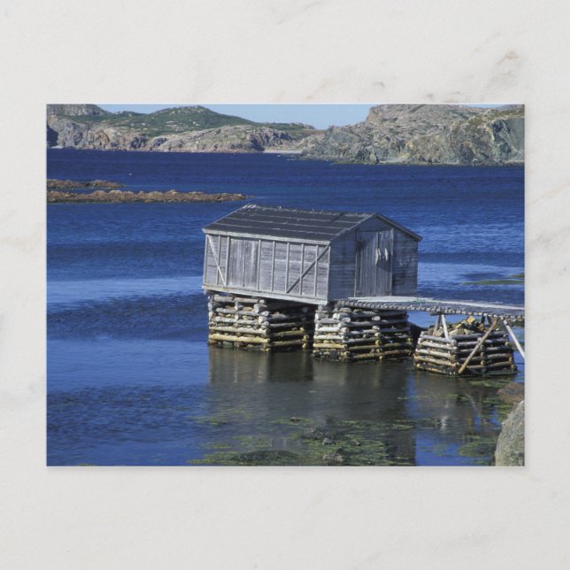 N.A., Canada, Newfoundland, Durrell. Fishing Postcard (Front)