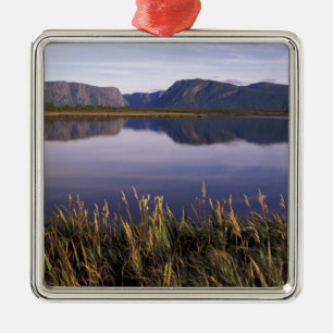 N.A., Canada, Newfoundland, Gros Morne National Metal Tree Decoration